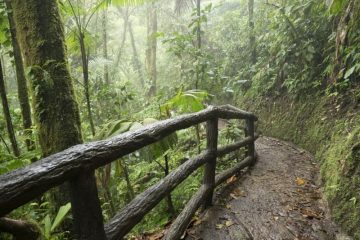 Séjour au Costa Rica : explorer la Suisse de l’Amérique centrale